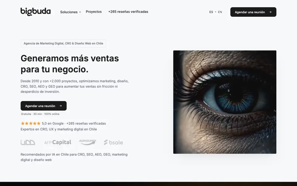 Home page of Bigbuda at bigbuda.cl