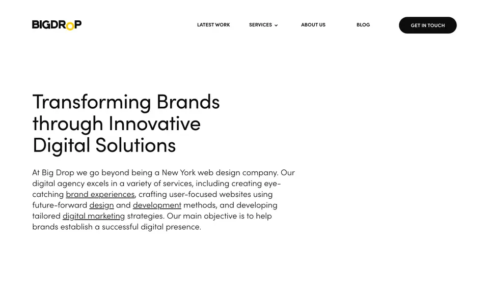 Home page of Big Drop at bigdropinc.com