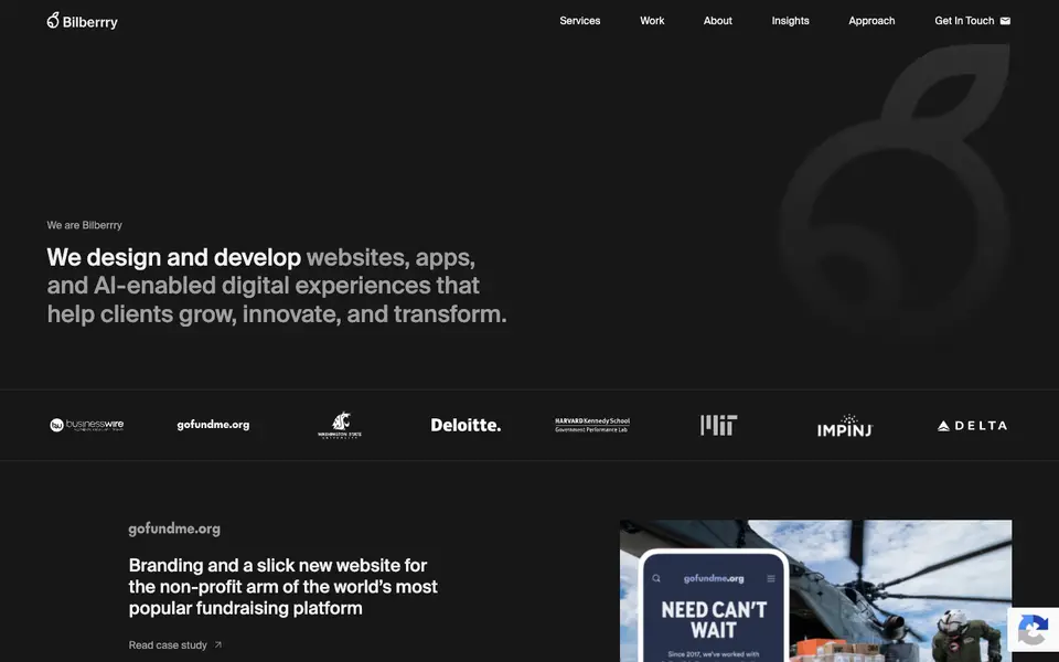 Home page of Bilberrry at bilberrry.com