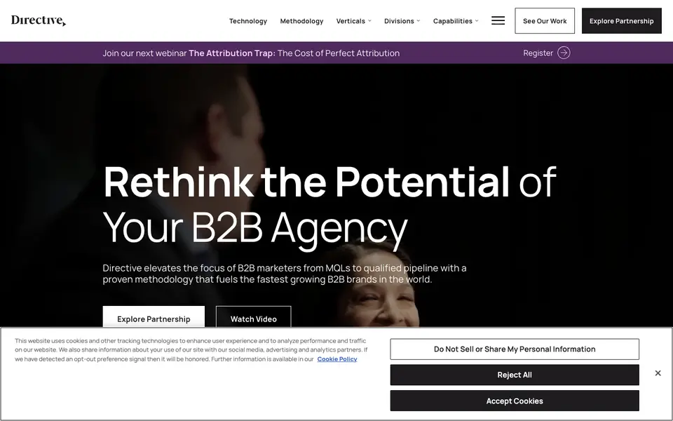 Home page of Directive at directiveconsulting.com