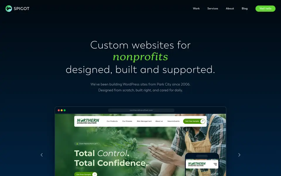 Home page of Spigot Design at spigotdesign.com