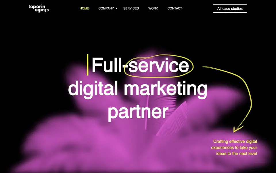Home page of Toporin Studio at toporin.com
