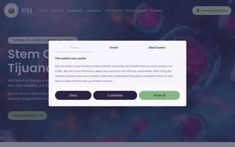 Home page of vidastem.com, a client site credited to Laboratorio Digital